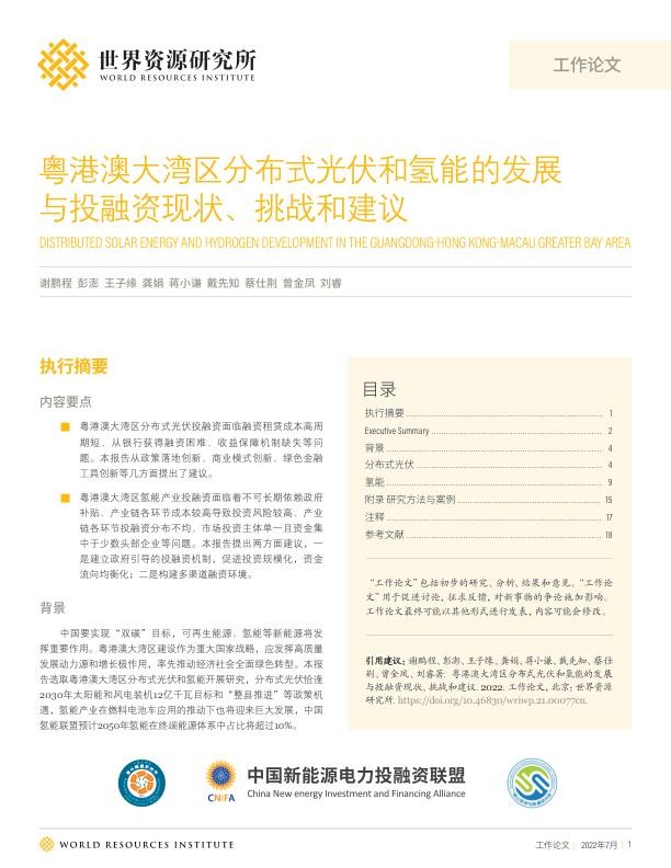 粤港澳大湾区分布式光伏和氢能的发展与投融资现状、挑战和建议-WRI.jpg