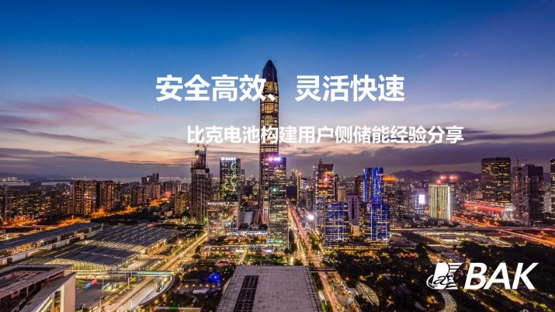武士越---储能大会演讲主题介绍_比克.jpg
