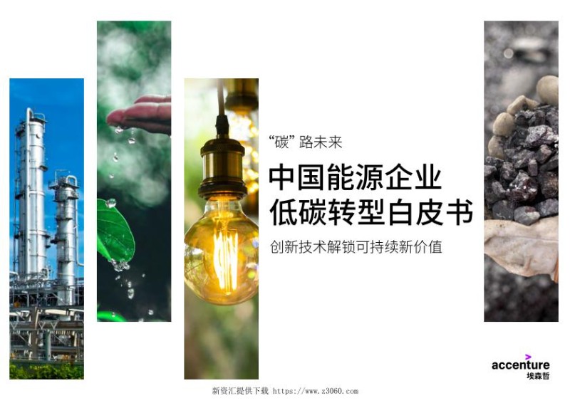 埃森哲：2021中国能源企业低碳转型白皮书.jpg