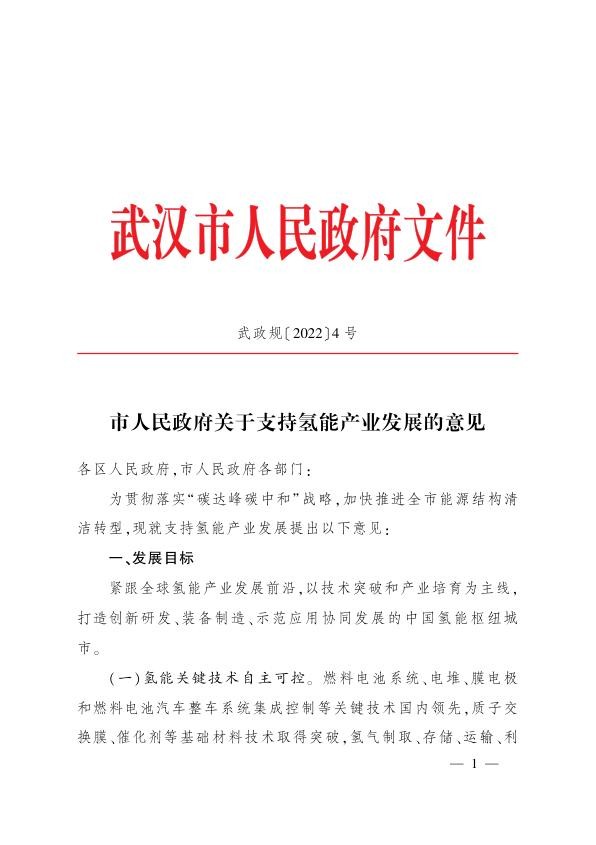 武汉市人民政府关于支持氢能产业发展的意见.jpg